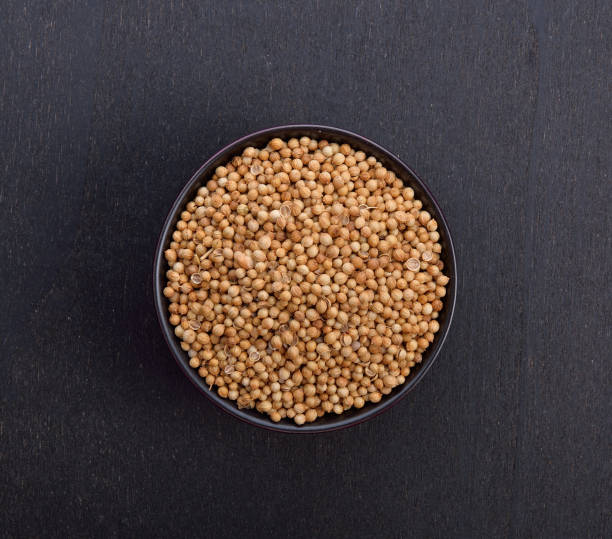 Common Coriander Seed